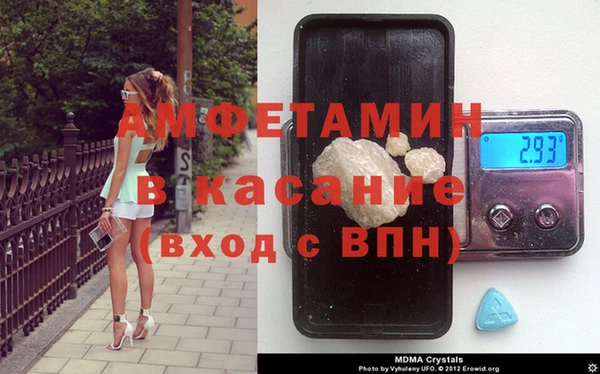 сатива Беломорск