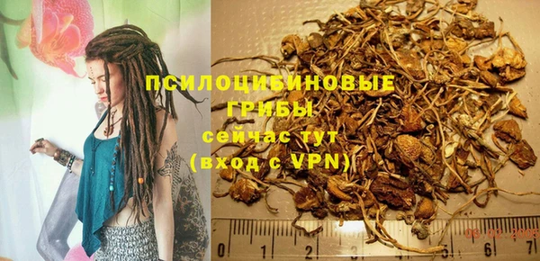 spice Балахна