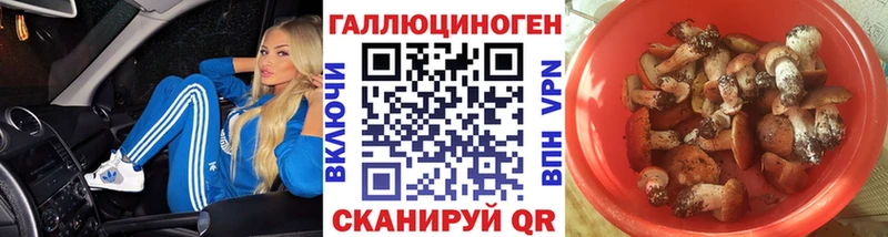 Псилоцибиновые грибы мицелий  Будённовск 